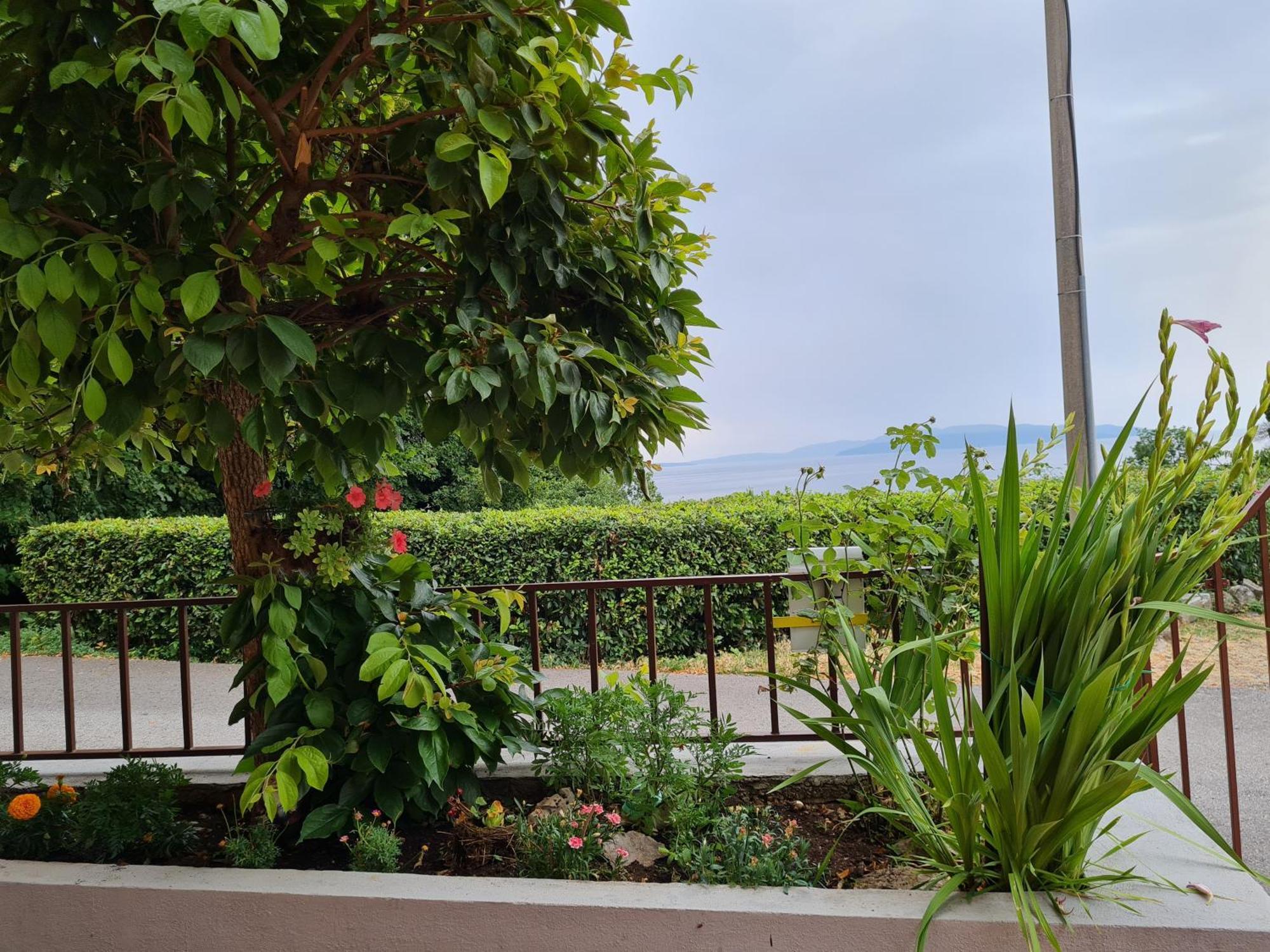 Apartmani Donata Rijeka Cameră foto
